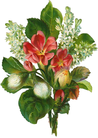 cajoline_vintageflowers3_10 (318x450, 284Kb)