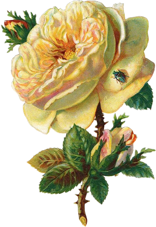 cajoline_vintageflowers3_7 (310x450, 296Kb)