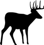  deer2 (295x300, 9Kb)