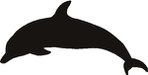  dolphin (300x151, 4Kb)