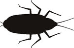  beetle (300x196, 7Kb)