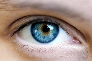 2009-12-eye (314x209, 58Kb)