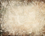   1 (700x560, 214Kb)