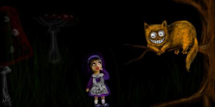 cats_17 (700x350, 17Kb)