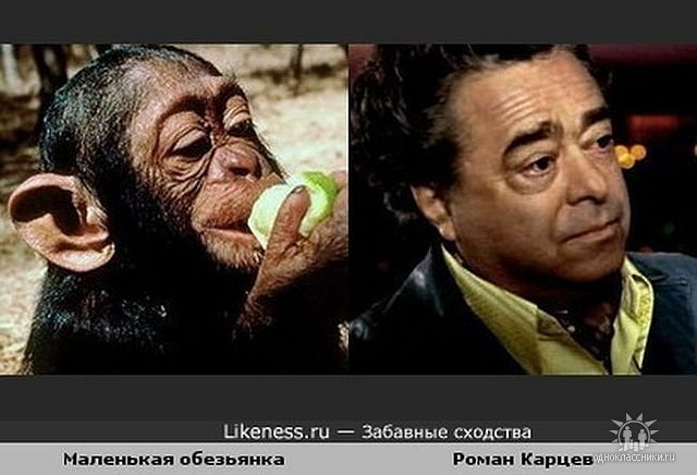 getImageCA1RYHE0 (640x436, 50Kb)