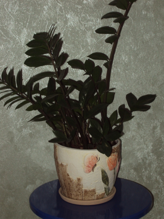3833204_DSC05011 (525x700, 270Kb)