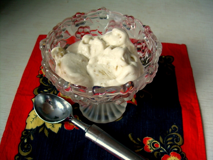 3740065_DSCN0097 (700x525, 254Kb)