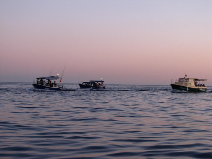 3208812_IMG_2135_resize (700x525, 52Kb)