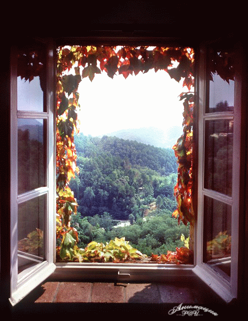 4159622_317603684 (500x647, 2593Kb)