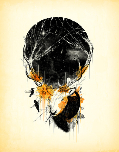 158807_1003348_b_large (400x508, 90Kb)