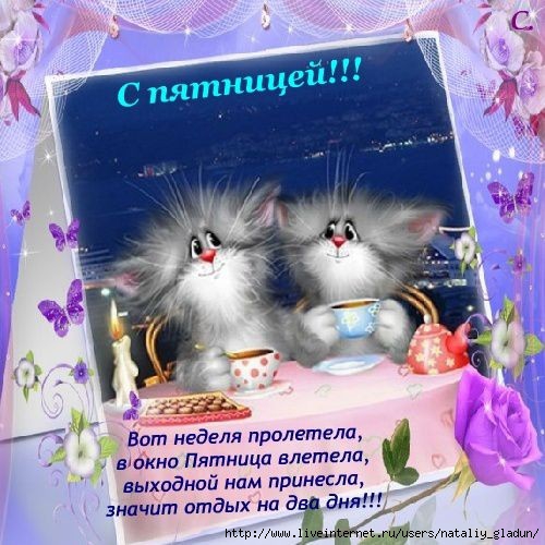   (500x500, 161Kb)
