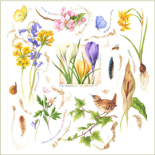 spring_collection_2 (499x500, 108Kb)