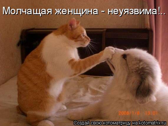 vv (570x427, 31Kb)