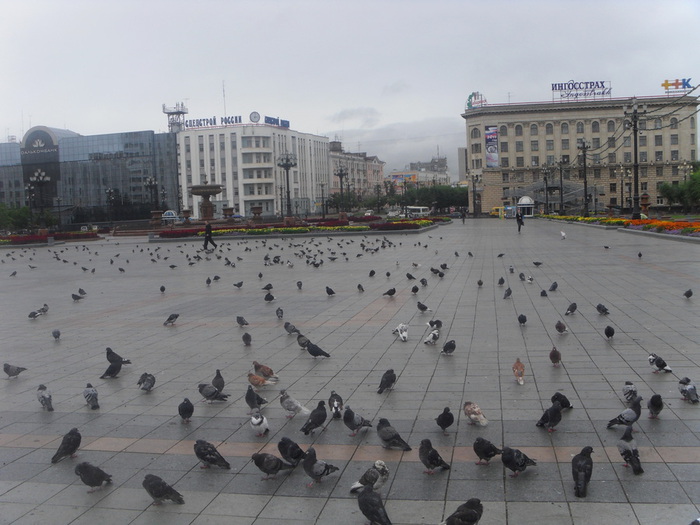 SDC17002 (700x525, 120Kb)