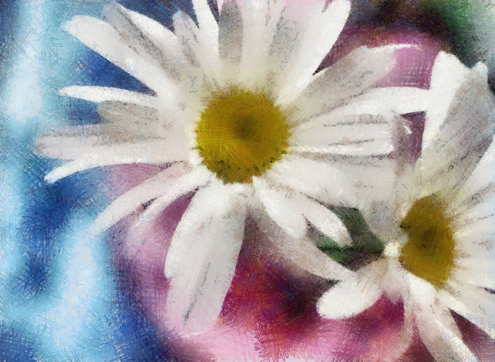 Camomile (700x512, 178Kb)