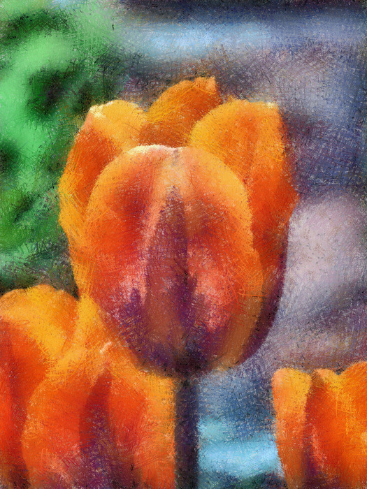  (525x700, 227Kb)