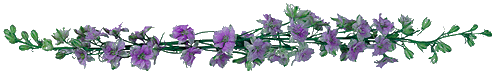 63001813_49956056_526639o84jyikz34 (502x73, 17Kb)
