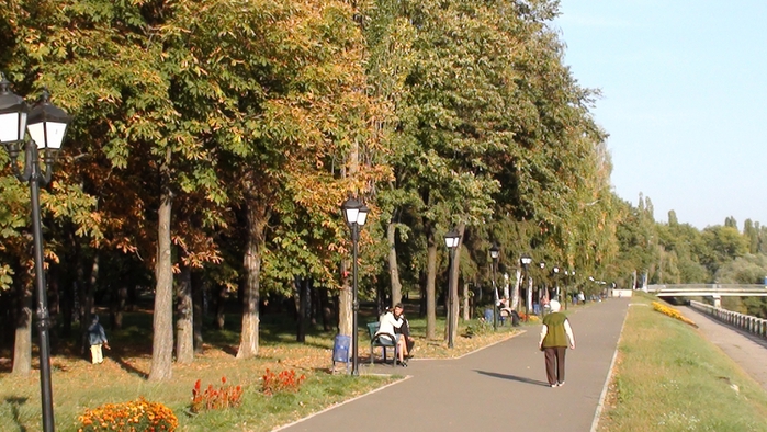 3514238_DSC02079 (700x394, 275Kb)