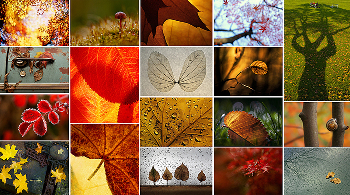 0_59c76_ff3dc04e_orig (700x389, 460Kb)