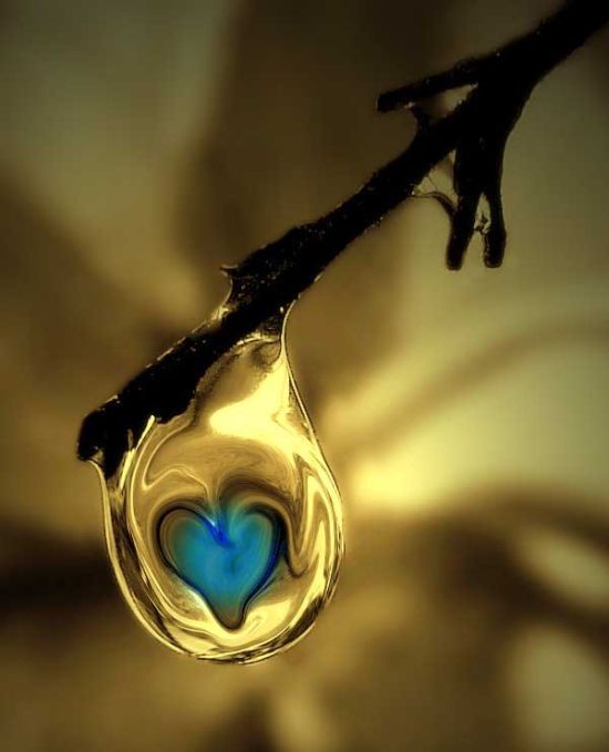 3484930_collection_of_hearts_29 (550x679, 42Kb)