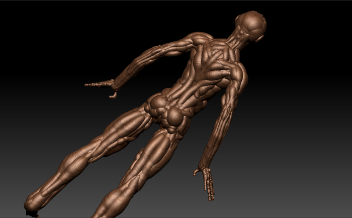 Body1 (700x434, 135Kb)