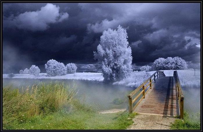 3649429_image_4ce6ede42d679 (700x455, 53Kb)