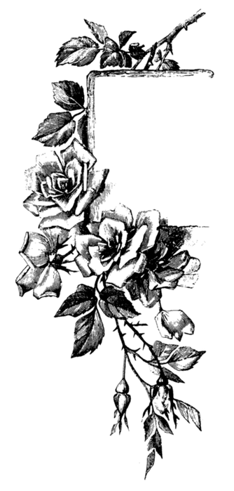 roses037 (334x700, 158Kb)