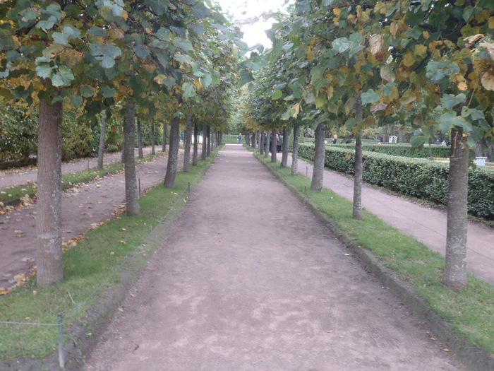 P9250059 (700x525, 153Kb)