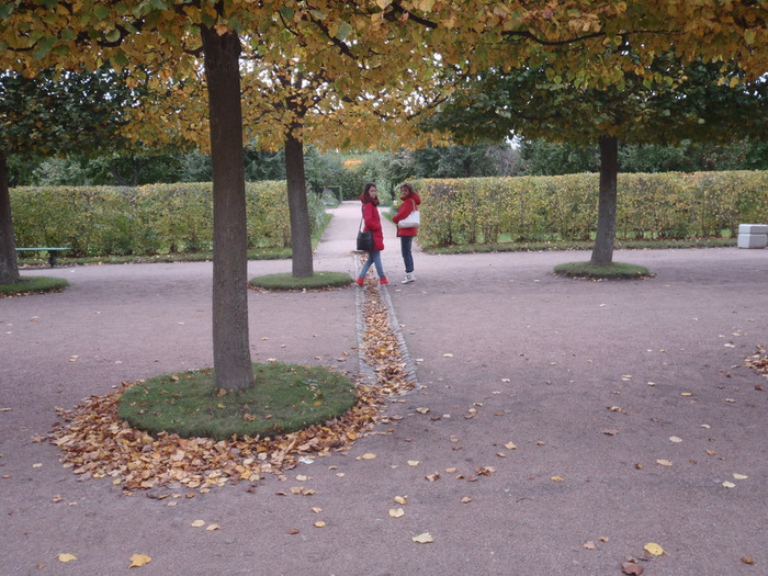 P9250129 (700x525, 164Kb)