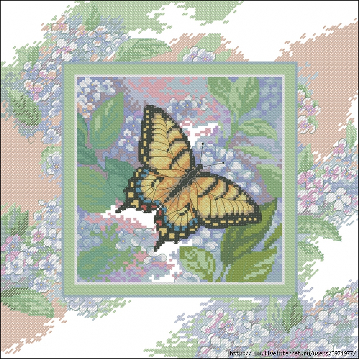 3971977_Butterflies_055 (700x700, 569Kb)