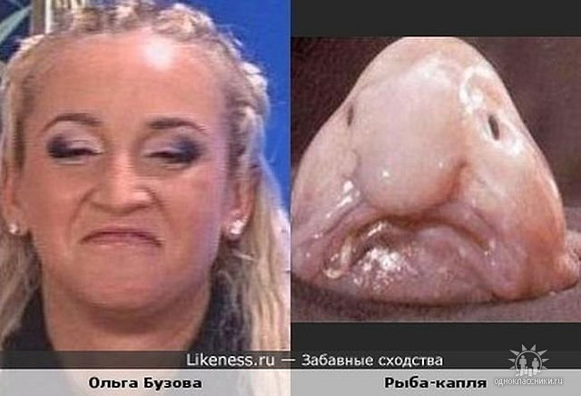 getImageCAVZ8MBZ (640x436, 44Kb)