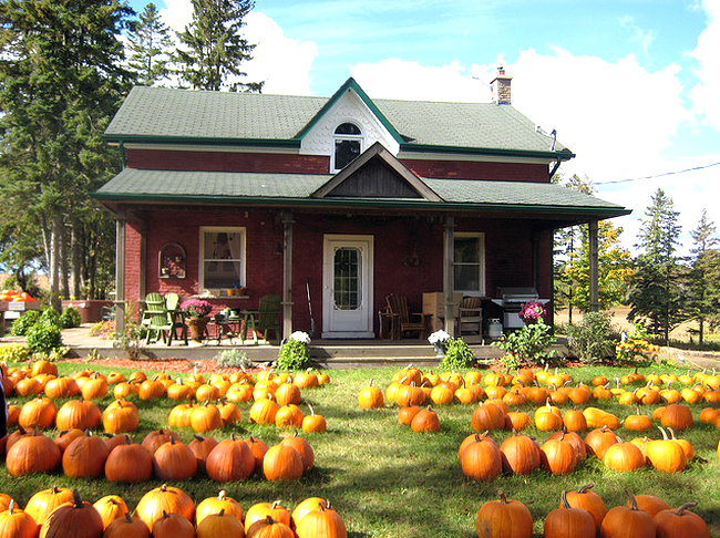 pumpkin farmhouse  Flickr - Photo Sharing! (650x486, 735Kb)