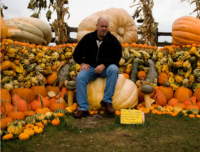 HBCCT-Pumpkin Chair Edition  Flickr - Photo Sharing! (650x495, 820Kb)