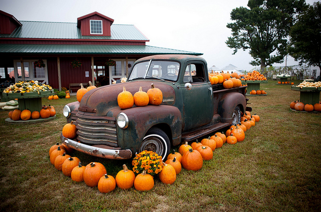 Pumpkins in Iowa  Flickr - Photo Sharing! (650x430, 698Kb)