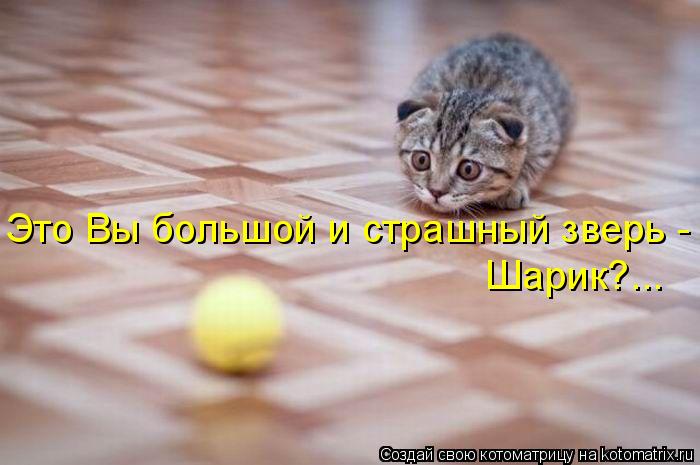 78886196_large_b12 (700x465, 41Kb)