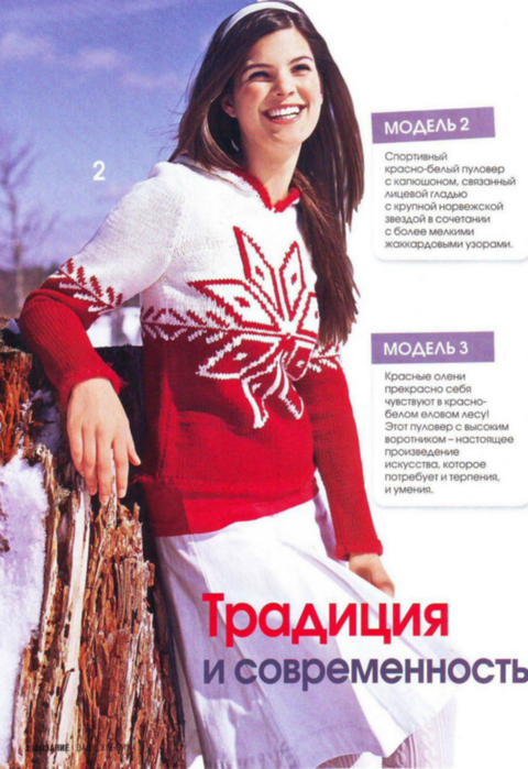 47a3889d15ea2957b057847a3bb0511b_1 (480x700, 385Kb)