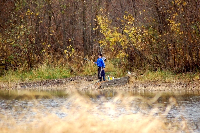 3392780_DSC_9580 (700x465, 440Kb)