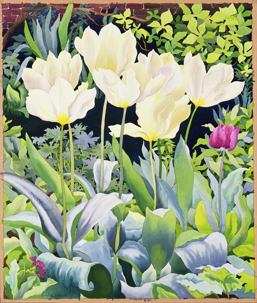 Pale Tulips (509x600, 178Kb)