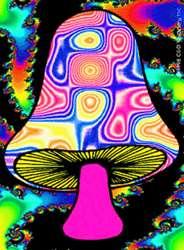 psychedelic-mushroom (265x360, 654Kb)