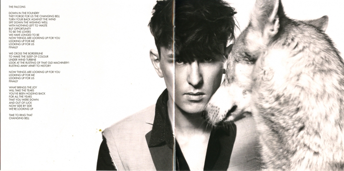 1661313_patrick_wolf_lupercalia_book7 (700x348, 157Kb)