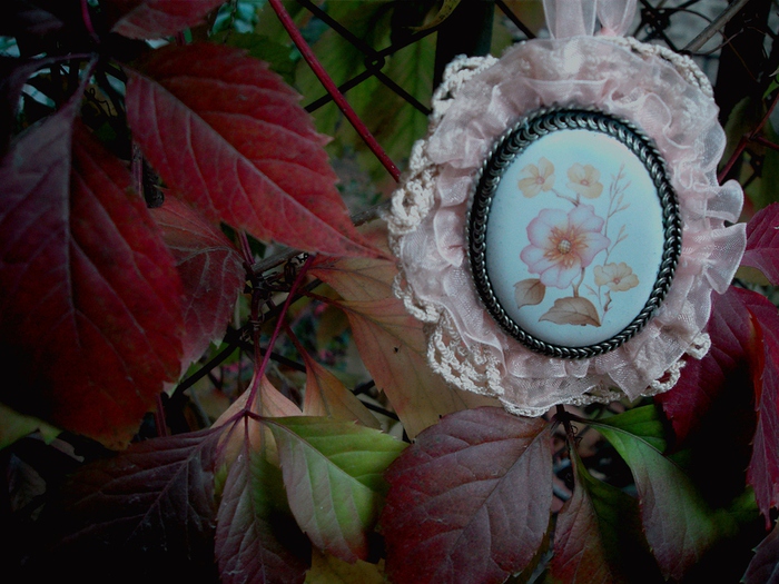 SDC10556 (700x525, 210Kb)