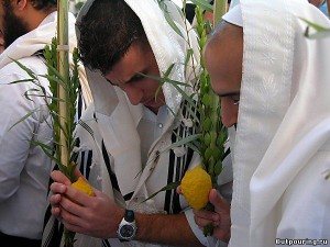 sukkot-300x225 (300x225, 25Kb)