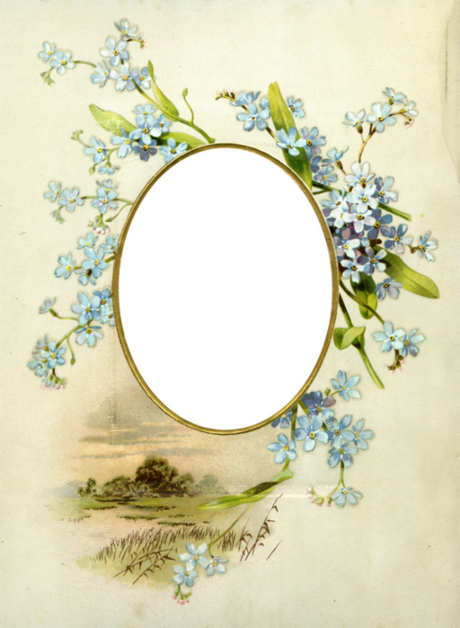 Floral_Frame_No1_by_DustyOldStock (512x700, 370Kb)