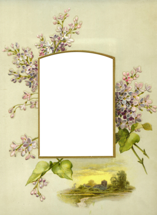 Floral_Frame_No2_by_DustyOldStock (512x700, 322Kb)