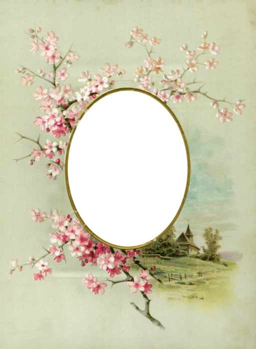 Floral_Frame_No4_by_DustyOldStock (512x700, 333Kb)