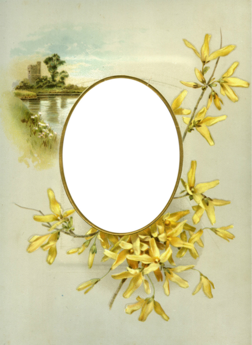 Floral_Frame_No6_by_DustyOldStock (512x700, 332Kb)
