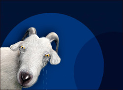 Livejournal  (250x183, 12Kb)