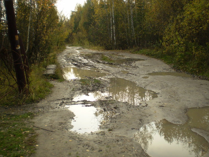 PA080272 (700x525, 121Kb)