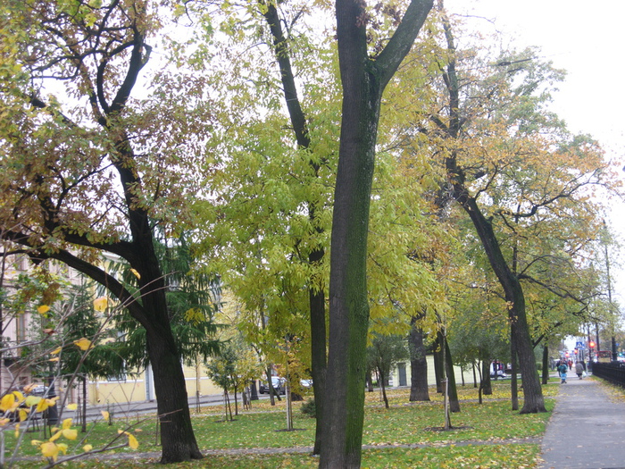 IMG_6539 (700x525, 301Kb)
