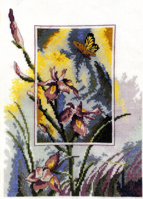 Iris & Butterfly (502x700, 293Kb)